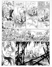 Lidwine - La Quête de l'oiseau du temps - tome 5 - l'ami Javin - Planche originale