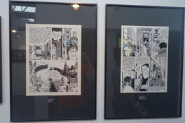 Festival Amadora 2016