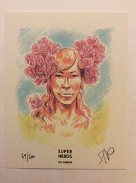 Ex-Libris Super Héros