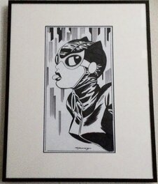 Cooke Catwoman framed Cooke Catwoman framed