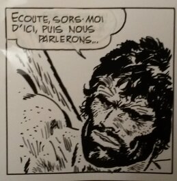 Corto Corto