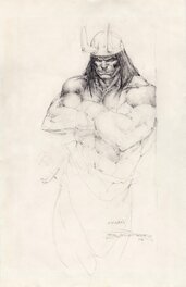 Conan the barbarian