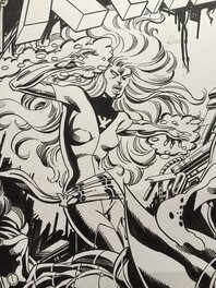 Phoenix Phoenix