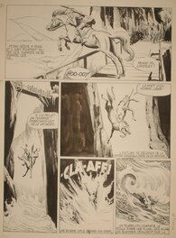 Eduardo Coelho - Robin Des bois Coelho/Ollivier - Comic Strip