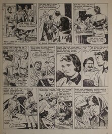 Robin Des Bois Nortier / Ollivier