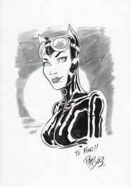 Paco Diaz Catwoman