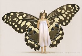 Erlé Ferronnière - Fée papillon - Original Illustration