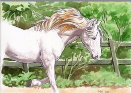 Jérémy Coll - Dessin du cheval de l'artiste... - Original Illustration