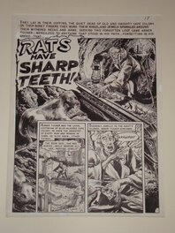 Graham Ingels - Vault OF HORROR - Planche originale