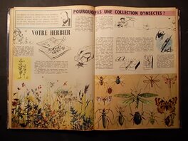Publication. Publication.