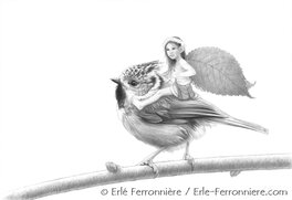 Erlé Ferronnière - La fée sur la mésange huppée (crayon) - Original Illustration