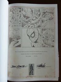 The AMAZING SPIDER-MAN SKETCH by ROMITA SR.