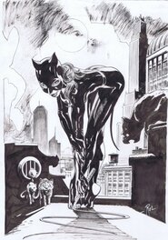 Catwoman par Boschi