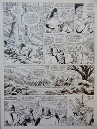 Jean-Yves Mitton - Vae victis T 12 - Comic Strip