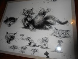 Benoît Sokal - Les chats