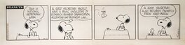 Peanuts - Comic Strip