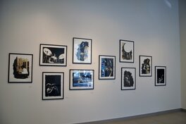 L'exposition L'exposition