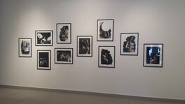 L'exposition à Vienne L'exposition à Vienne