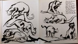 'Le chat', double page de l'ouvrage 'Questions de dessin'