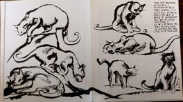 'Le chat', double page de l'ouvrage 'Questions de dessin' 'Le chat', double page de l'ouvrage 'Questions de dessin'