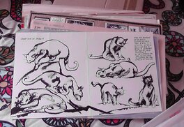 'Le chat' d'Edmond Baudoin 'Le chat' d'Edmond Baudoin