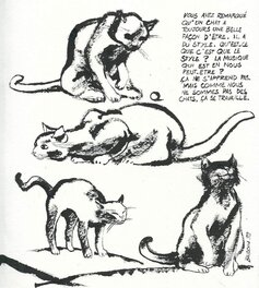 Edmond Baudoin - 'Questions de dessins : Le Chat' d'Edmond Baudoin - Planche originale
