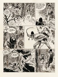 Comanche - Comic Strip