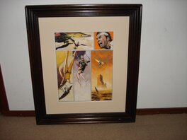 Framed Framed