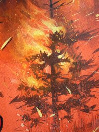 Sapin en feu Sapin en feu