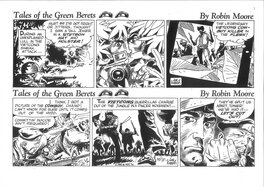 Montage des 2 strips consécutifs . Montage des 2 strips consécutifs .