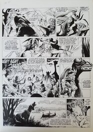 Jean-Yves Mitton - Chroniques Barbares tome 5 planche 21 - Planche originale