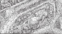 Detail Detail