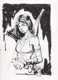 Ralf van der Hoeven - Tomb Raider / Lara Croft - Comic Strip