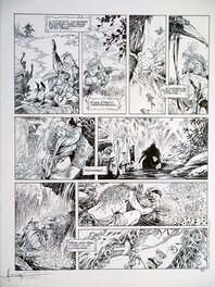 Mohamed Aouamri - La quête de l'oiseau du temps - T6 - Le grimoire des dieux - planche 26 - Planche originale