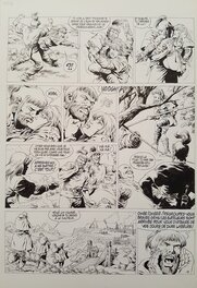 Jean-Yves Mitton - Vae Victis Tome 6 Planche 13 - Planche originale