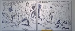 Strip 2 Strip 2