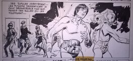 Strip 2 Strip 2