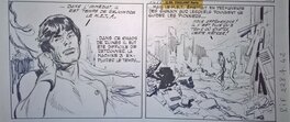 Strip 3 Strip 3
