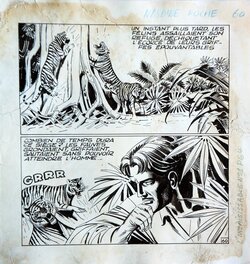 Planche 60 Planche 60