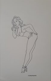 Daniël Desorgher - Pin-Up 2 - Illustration originale