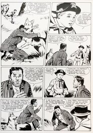 Carlo Marcello - Rintintin - Comic Strip