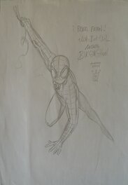 Spider-Man by Mark Buckingham