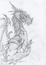 Julien Delval - Dragon - Original art