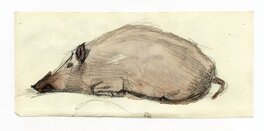 Illustration Illustration