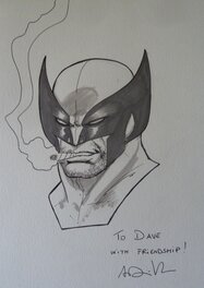 Wolverine