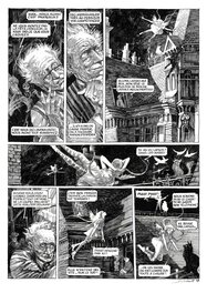 Daria Schmitt - ORNITHOMANIACS p 42 - Comic Strip