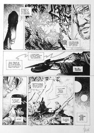 Vincent Mallié - La quête de l'oiseau du temps - T08 - planche 14 - Planche originale