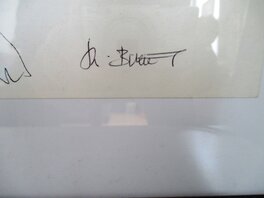 5 5