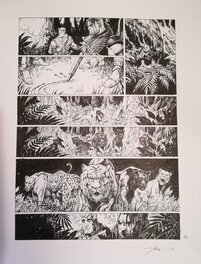 Anthony Jean - Conan le Cimmerien Au delà de la rivière noire - Planche originale