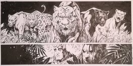 Les chats et Conan Les chats et Conan